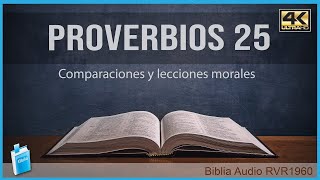 Proverbios 25  COMPARACIONES Y LECCIONES MORALES 📖 Biblia Audio RVR1960 4K UHD [upl. by Atirma]