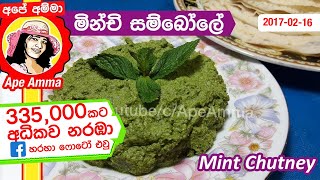 ✔ බිරියානි තෝසේ වඩේ එක්ක කන මින්චි සම්බෝලේ Minchi sambola  Mint Sambol ENG Sub by Apé Amma [upl. by Freddy]