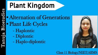 Plant Life Cycles  Haplontic Diplomatic amp Haplodiplontic Life Cycles  Alternation of Generation [upl. by Naud]