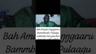 Yewteere Ba Amadou Dangarou 0911 2024 [upl. by Huldah]