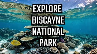 Biscayne National Park Hidden Gems amp Tips for Your Visit nationalparks [upl. by Reyna]