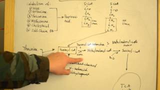 Proprionic Acidemia  Simplified Explanations for USMLE Step 1 [upl. by Cailean]