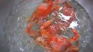 How to Boil Blue Crabs [upl. by Darell626]