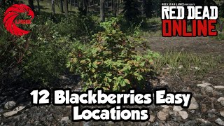 Blackberries Locations rdr2 Online  Red Dead Online Blackberries Location Guide [upl. by Trbor]