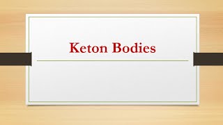 11keton bodie ketogenesis amp ketolysis biochemistry شرح بالعربي [upl. by Sletten386]