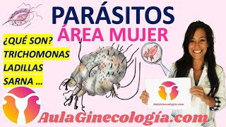 PARÁSITOS ¿QUÉ SON TRICHOMONAS LADILLAS SARNA  Ginecología y Obstetricia [upl. by Sellihca31]