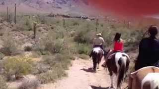 Riding Horses at Goldfield Ghost Town [upl. by Enitsyrhc913]