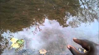 Hydrokinesis  Waterbending Heat Projection amp Ripple Manifestation II Chi [upl. by Sinnaoi600]