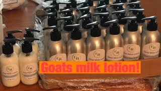 Making Goat’s Milk Lotion [upl. by Isidore]