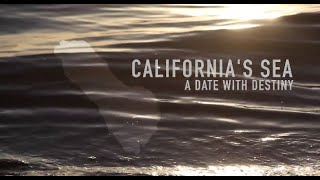 Salton Sea Documentary 2015 Californias Sea A Date With Destiny [upl. by Tyrone799]