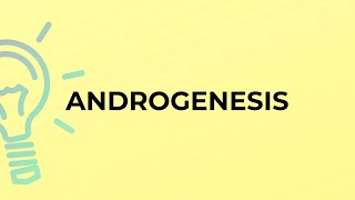 What is the meaning of the word ANDROGENESIS [upl. by Aniakudo512]