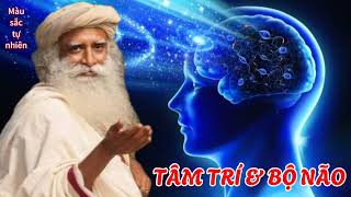 Có phải TÂM TRÍ amp BỘ NÃO là một  Sadhguru [upl. by Yenmor614]