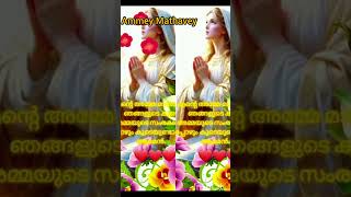 Japamala ammey💥🌹Karunayakane Ammey 🙏Mother Mary prayer song 🌹Christian prayer song YouTube shorts [upl. by Ayrolg]