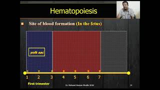 Hematology medicine part3 [upl. by Eshman367]