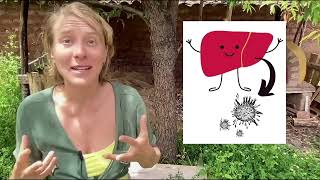 Chlorella Detox Safe or Dangerous Watch This Before You Try [upl. by Nabois82]