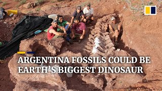 Dinosaur fossils found in Argentina could be from largest creature to have ever walked the Earth [upl. by Kacey827]