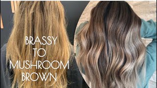 FOILAYAGE amp COLOR MELT  Brassy Hair To MUSHROOM BROWN Tutorial [upl. by Dahaf]