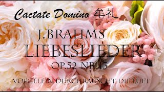 JBRAHMS Liebeslieder Op52 Nr13 Vögelein durchrauscht die Luft Cantate Domino 牟礼 [upl. by Lombard]