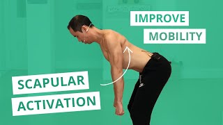 3Way Scap Circles Scapular Muscle Activation amp Mobility Exercises [upl. by Werdma]