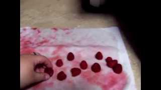 Dehydrating Raspberries [upl. by Ramon]