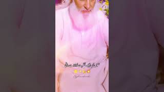 qawali automobile nfaklegendlines viralvideo shorts shortindia love allah nfak qalam 🌹🥀🔥🔥 [upl. by Eustis427]