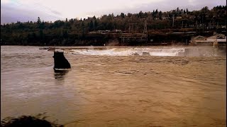 AMTRAK Coast Starlight passes a swollen Willamette Falls near Oregon City OR [upl. by Tirrell]