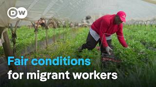 The fight against exploitation of migrant workers in Italy  DW Documentary [upl. by Sefton]