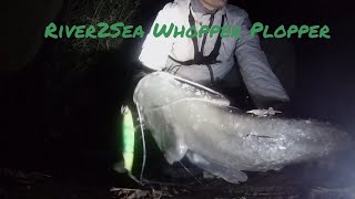 River2Sea Whopper Plopper  Huge catfish on topwater [upl. by De Witt]