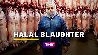 What is HALAL SLAUGHTER QURBANI  Halal Meat Farm 🐑  Being Muslim [upl. by Sidran21]