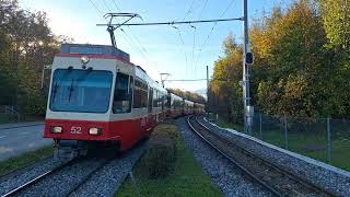 Durchfahrt vo de S18 Schnelzug nach Esslingen in Zollikon Waldburg [upl. by Nally606]