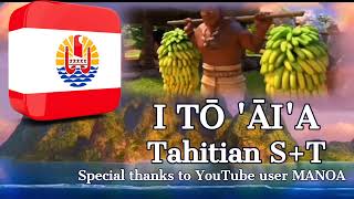 Where You Are  Tahitian ST [upl. by Krock456]