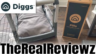 Diggs Pillo Dog Bed vs Snooz  COUPON [upl. by Dnomra324]