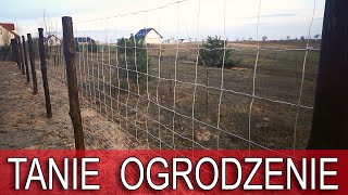 Sposób na tanie ogrodzenie działki DomZa100 95 [upl. by Joh217]