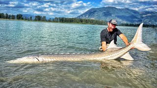 Ich fange den größten Fisch der Welt im Süßwasser [upl. by Pogue855]