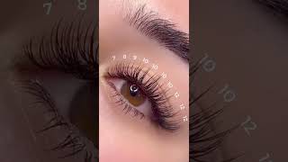 Lash extensions tricks tips lashes lashextensions lashartist map [upl. by Klara237]