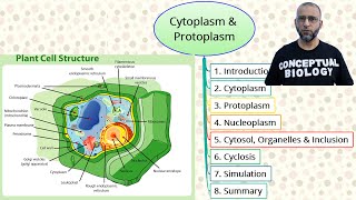 Cytoplasm and Protoplasm with Dr Sohail Jamil Qureshi  MDCAT Biology [upl. by Aicirtel535]