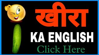 khira ko english mein kya kahate hain  khira ko english me kya kehte hai [upl. by Phene269]