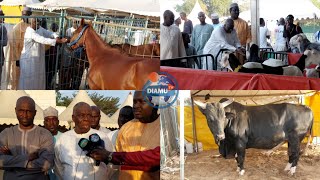 Foire de lélevage du REPTEL TIVAOUANE  Visite du maire de Tivaouane Demba Diop SY [upl. by Ynnatirb580]