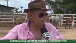 Programa Acre Rural  Criatório de jumentos e muares da Fazenda Nova Fronteira [upl. by Ettezus789]