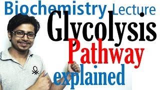 Glycolysis biochemistry [upl. by Thatcher977]