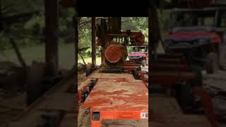 Woodmizer Sawmill sawmill wood lumber [upl. by Goldy584]