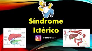 🥇 SINDROME ICTERICO ✅  FISIOPATOLOGIA y ETIOLOGIAS [upl. by Ayerdna]