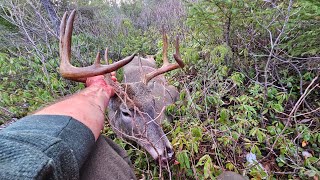 Deer Season 2023 Whitetail Deer Hunting in New Brunswick [upl. by Pickard]