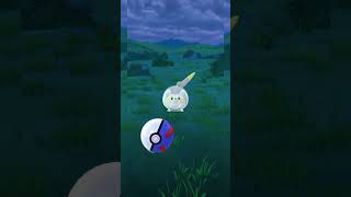 Caching a wild Togedemaru pokemon go pokemon pokemongo togedemaru [upl. by Aniroz]