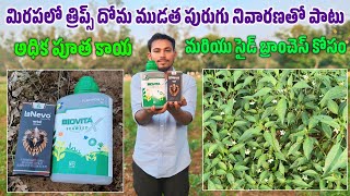 Dhanuka Lanevo Insecticide  Lanevo new insecticide  lanevo full details in telugu use in chilli [upl. by Iatnohs]