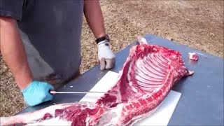 Butchering A Lamb [upl. by Tsenre]