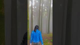 𝗧𝗥𝗔𝗩𝗘𝗟 𝗗𝗲𝘀𝘁𝗶𝗻𝗮𝘁𝗶𝗼𝗻 manali travel travelguide manalitrip snow shorts shortsvideo shortsviral [upl. by Assereht123]