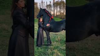 Friesian Horse owned by Cristina Grinciuc 💯🇷🇴 shorts viralvideo youtubeshorts short subscribe [upl. by Salema]