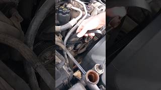 replace serpentine belt [upl. by Bj]