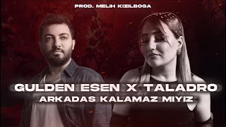 Gülden Esen X Taladro  Arkadaş Kalamaz Mıyız [upl. by Niatsirt]